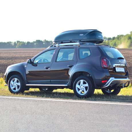 Накладки на двери (молдинги) (4 шт) (ABS) Renault Duster (2012-2020 г.в.) купить недорого с доставкой в Клин