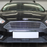 Защита радиатора "Standart" Ford Focus III рестайлинг (2014-2019) под датчик ACS+ASLD, чёрная купить недорого с доставкой в Клин